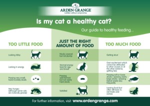 Is your cat a healthy size