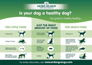 Is your dog a healthy size?