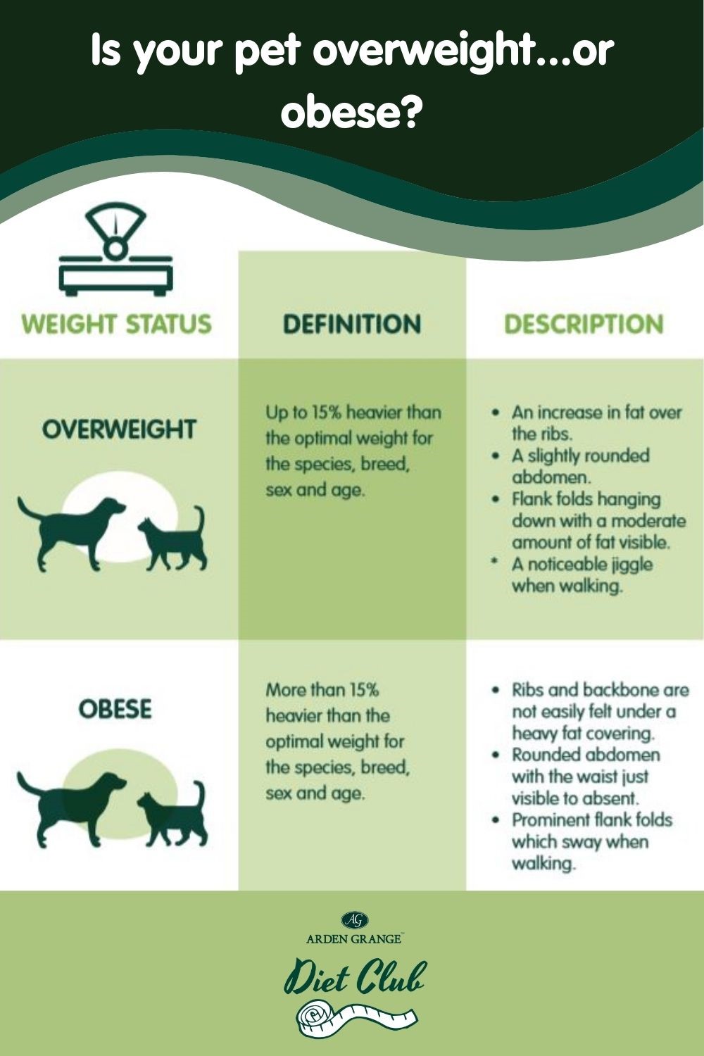 How to tell if your cat or dog is overweight or obese